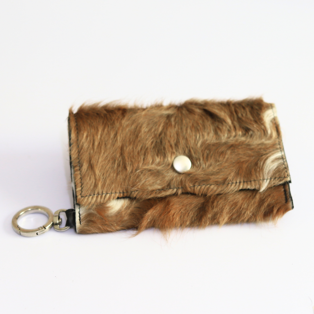 CARTERA 11