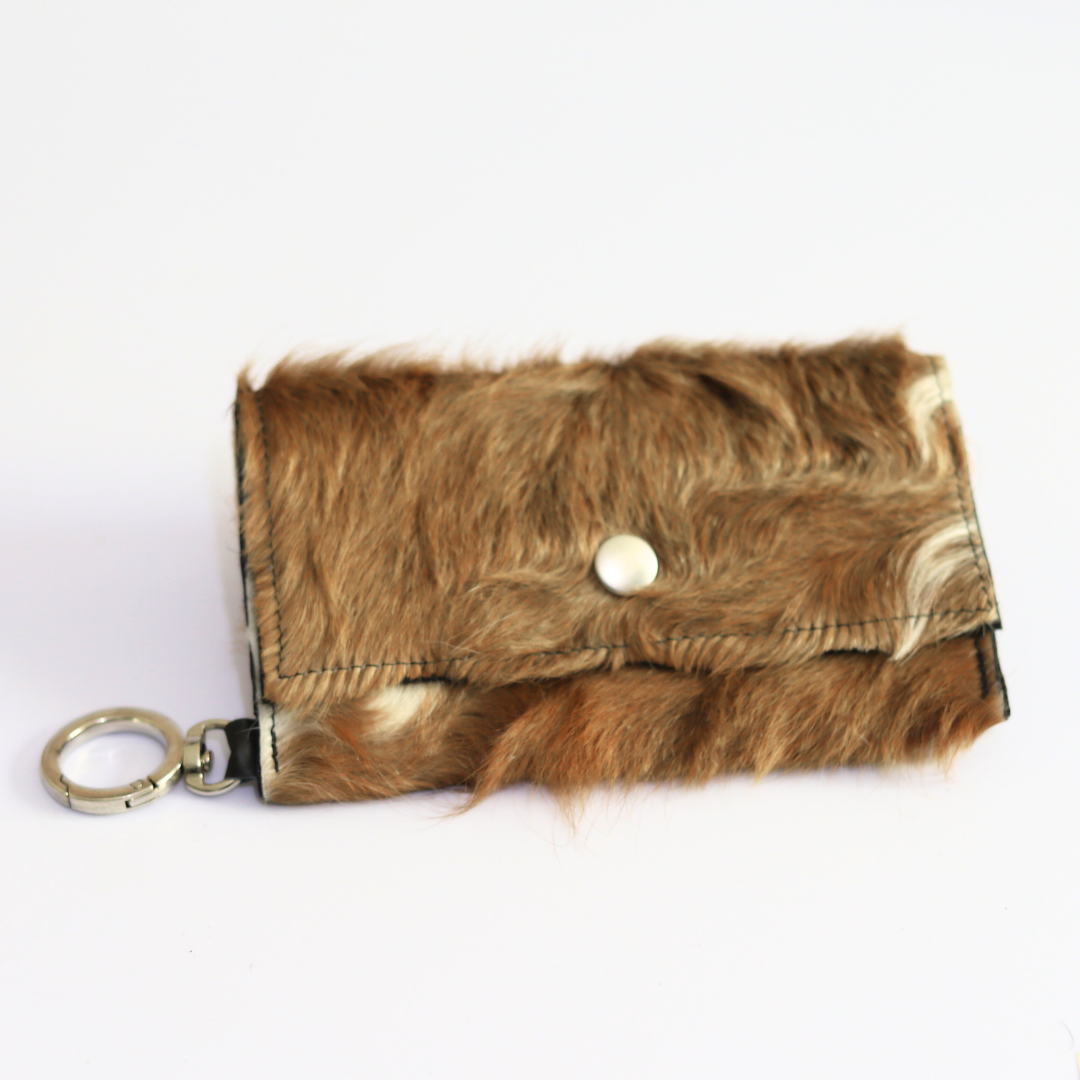 CARTERA 11